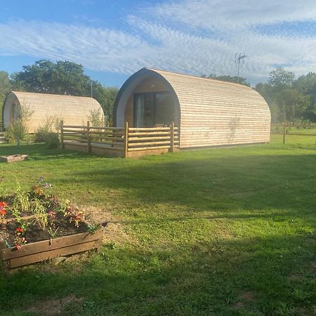 Beech Pod Cabin In Beautiful Surroundings Wrexham Kültér fotó