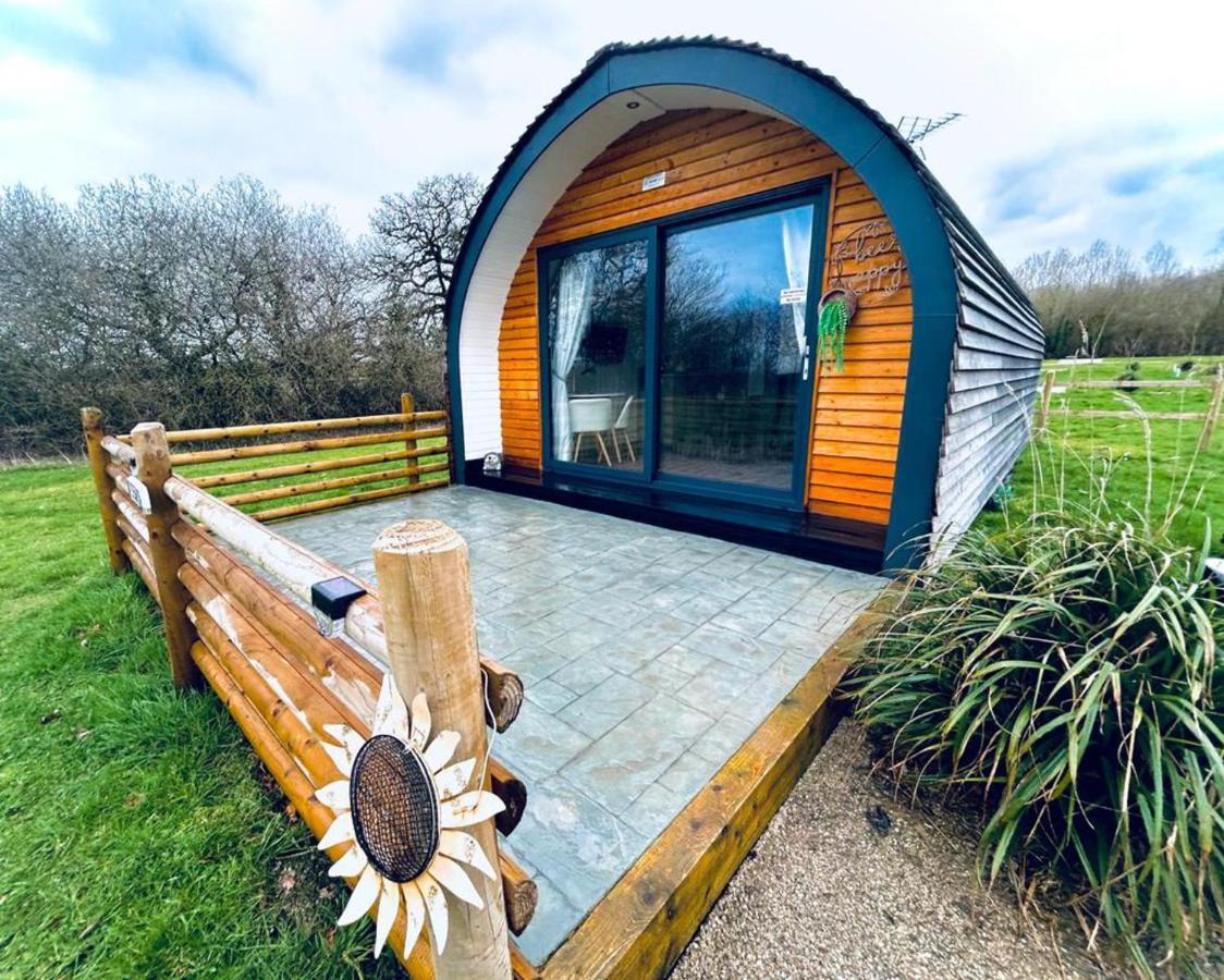 Beech Pod Cabin In Beautiful Surroundings Wrexham Kültér fotó